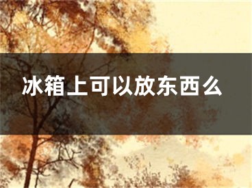 冰箱上可以放東西么