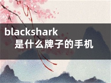 blackshark是什么牌子的手機(jī)