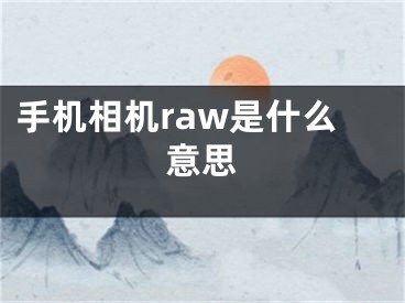 手機相機raw是什么意思