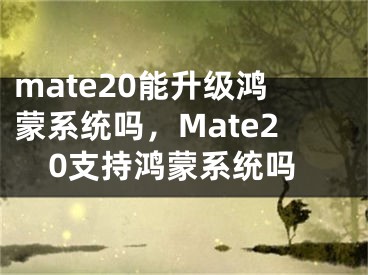 mate20能升級鴻蒙系統(tǒng)嗎，Mate20支持鴻蒙系統(tǒng)嗎