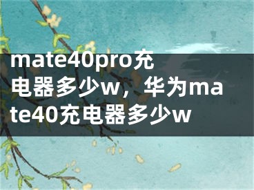 mate40pro充電器多少w，華為mate40充電器多少w