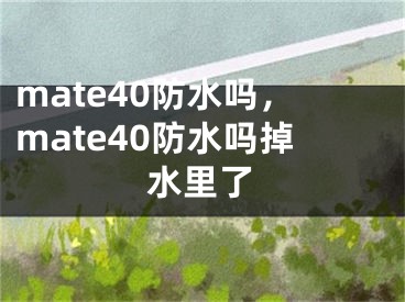 mate40防水嗎，mate40防水嗎掉水里了