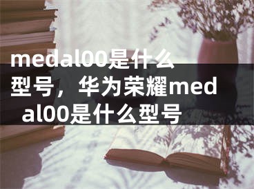 medal00是什么型號，華為榮耀medal00是什么型號