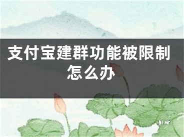 支付寶建群功能被限制怎么辦