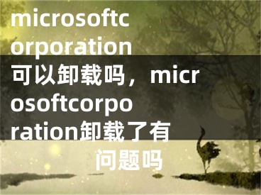 microsoftcorporation可以卸載嗎，microsoftcorporation卸載了有問題嗎