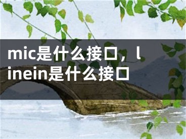 mic是什么接口，linein是什么接口