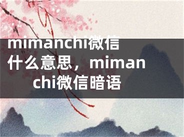 mimanchi微信什么意思，mimanchi微信暗語