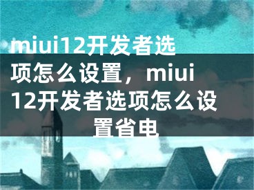 miui12開發(fā)者選項怎么設置，miui12開發(fā)者選項怎么設置省電