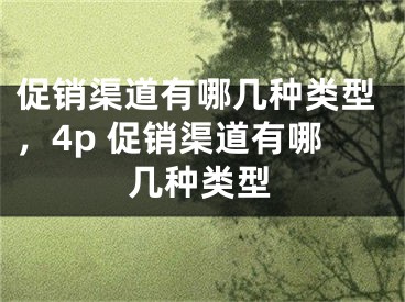 促銷渠道有哪幾種類型，4p 促銷渠道有哪幾種類型