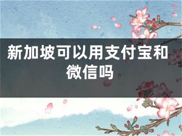 新加坡可以用支付寶和微信嗎