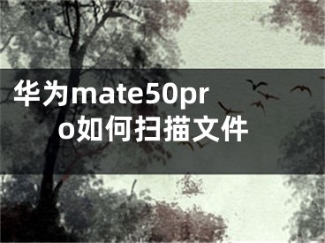 華為mate50pro如何掃描文件