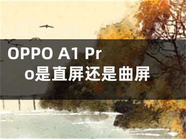 OPPO A1 Pro是直屏還是曲屏