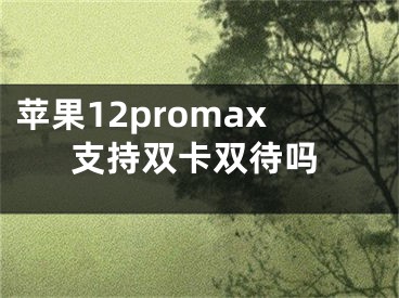 蘋果12promax支持雙卡雙待嗎