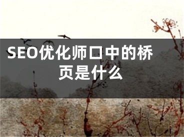 SEO優(yōu)化師口中的橋頁是什么