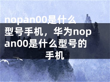 nopan00是什么型號手機，華為nopan00是什么型號的手機