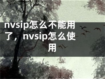 nvsip怎么不能用了，nvsip怎么使用