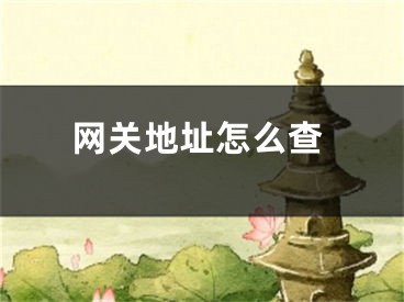 網(wǎng)關(guān)地址怎么查