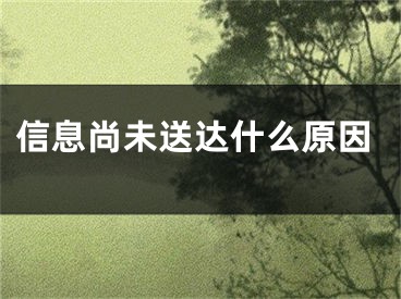 信息尚未送達(dá)什么原因