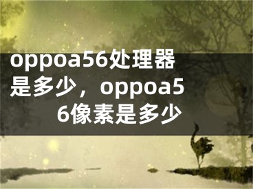 oppoa56處理器是多少，oppoa56像素是多少