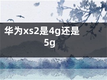 華為xs2是4g還是5g