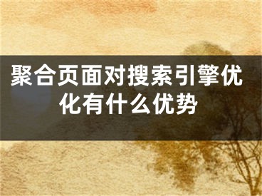 聚合頁(yè)面對(duì)搜索引擎優(yōu)化有什么優(yōu)勢(shì)