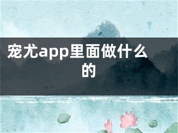 寵尤app里面做什么的