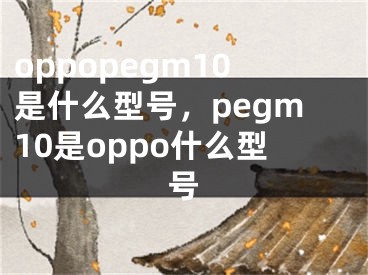 oppopegm10是什么型號，pegm10是oppo什么型號