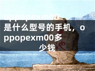 oppopexm00是什么型號(hào)的手機(jī)，oppopexm00多少錢