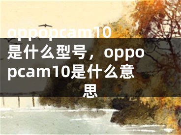 oppopcam10是什么型號(hào)，oppopcam10是什么意思