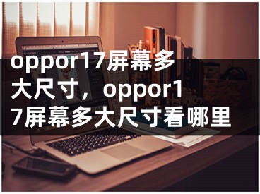 oppor17屏幕多大尺寸，oppor17屏幕多大尺寸看哪里