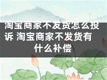 淘寶商家不發(fā)貨怎么投訴 淘寶商家不發(fā)貨有什么補償