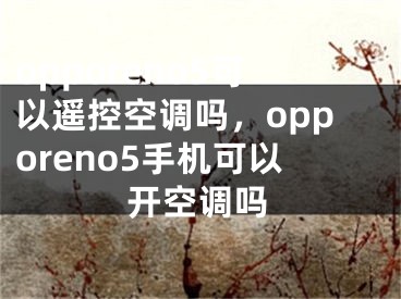 opporeno5可以遙控空調(diào)嗎，opporeno5手機(jī)可以開空調(diào)嗎