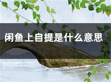 閑魚上自提是什么意思