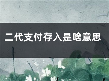 二代支付存入是啥意思