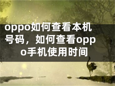 oppo如何查看本機(jī)號(hào)碼，如何查看oppo手機(jī)使用時(shí)間