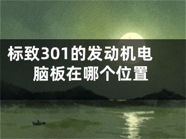 標致301的發(fā)動機電腦板在哪個位置