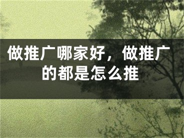 做推廣哪家好，做推廣的都是怎么推