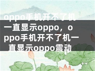 oppo手機(jī)開不了機(jī)一直顯示oppo，oppo手機(jī)開不了機(jī)一直顯示oppo震動(dòng)