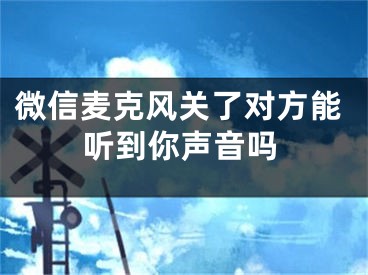 微信麥克風(fēng)關(guān)了對(duì)方能聽到你聲音嗎