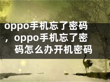 oppo手機(jī)忘了密碼，oppo手機(jī)忘了密碼怎么辦開機(jī)密碼