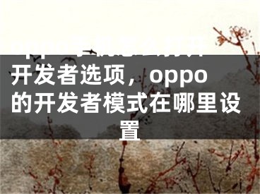 oppo手機怎么打開開發(fā)者選項，oppo的開發(fā)者模式在哪里設置