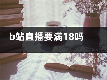 b站直播要滿(mǎn)18嗎