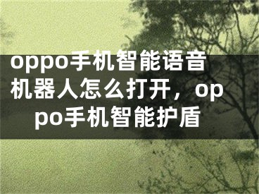 oppo手機(jī)智能語(yǔ)音機(jī)器人怎么打開，oppo手機(jī)智能護(hù)盾