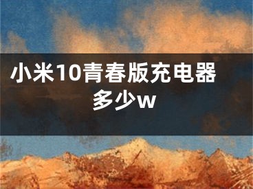 小米10青春版充電器多少w