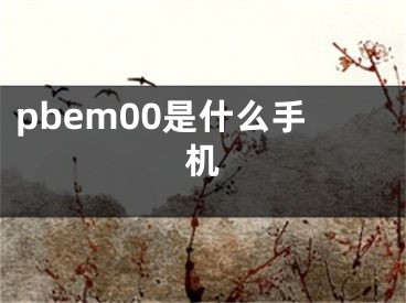 pbem00是什么手機(jī)