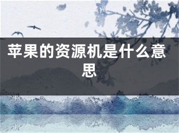 蘋果的資源機是什么意思