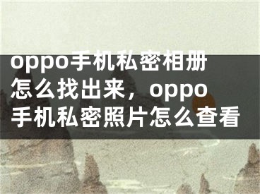 oppo手機(jī)私密相冊怎么找出來，oppo手機(jī)私密照片怎么查看