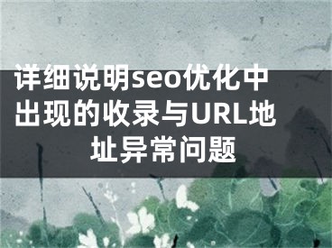 詳細(xì)說(shuō)明seo優(yōu)化中出現(xiàn)的收錄與URL地址異常問(wèn)題