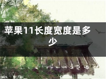 蘋(píng)果11長(zhǎng)度寬度是多少