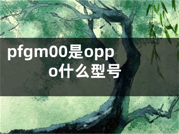 pfgm00是oppo什么型號(hào)